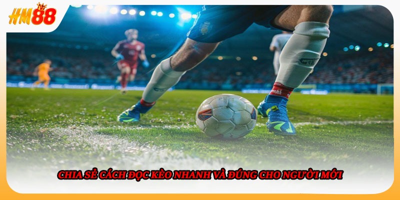 Chia sẻ cách đọc kèo nhanh và đúng cho người mới