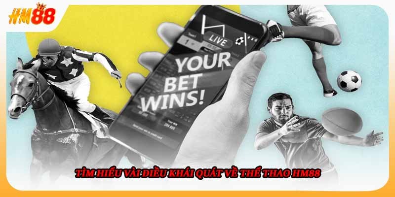 Tìm hiểu vài điều khái quát về thể thao HM88